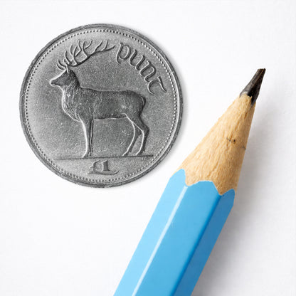 Irish One Pound (£1) Coin – Red Deer Stag by Thomas Ryan - Coin Print
