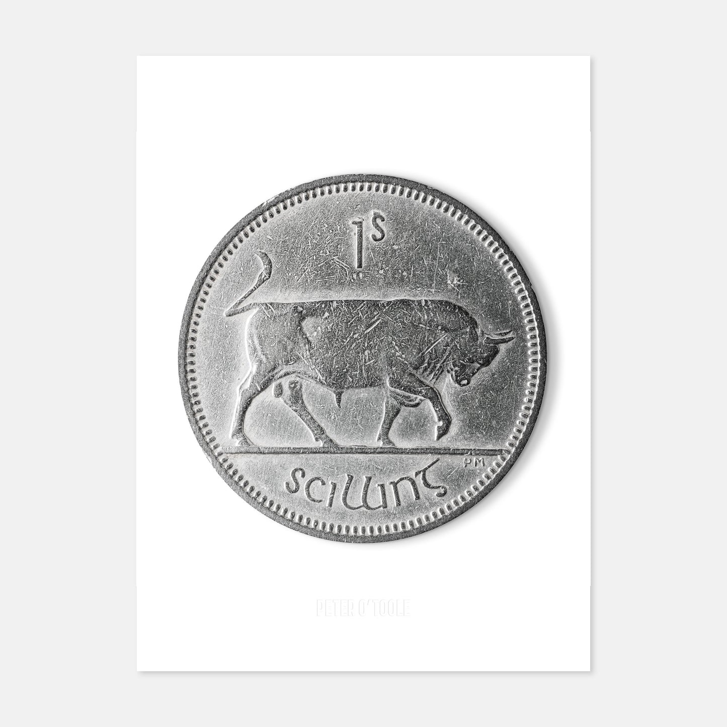 Irish One Shilling Coin – Bull by Percy Metcalfe - Coin Print