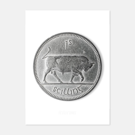 One Scilling Bull Coin - Prionta