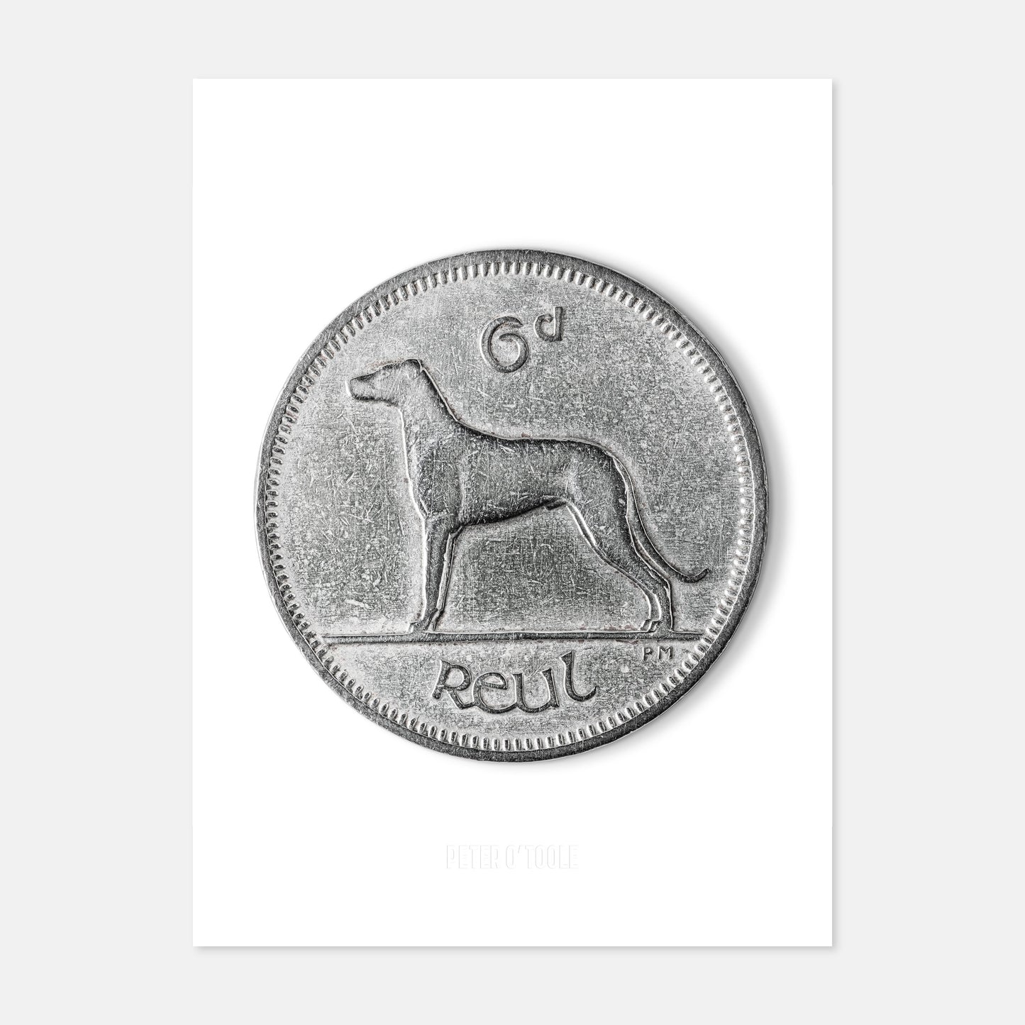 Irish Sixpence (6d) Coin – Irish Wolfhound by Percy Metcalfe - Coin Print