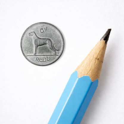 Irish Sixpence (6d) Coin – Irish Wolfhound by Percy Metcalfe - Coin Print