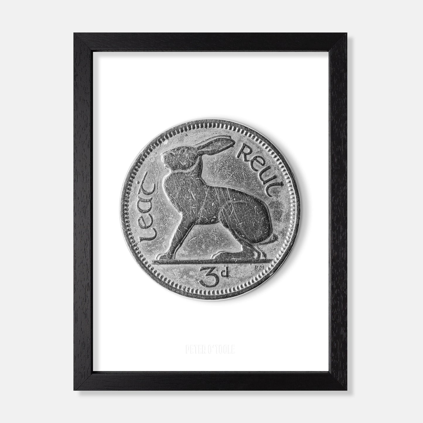 Irish Threepence (3d) Coin – Hare by Percy Metcalfe - Coin Print