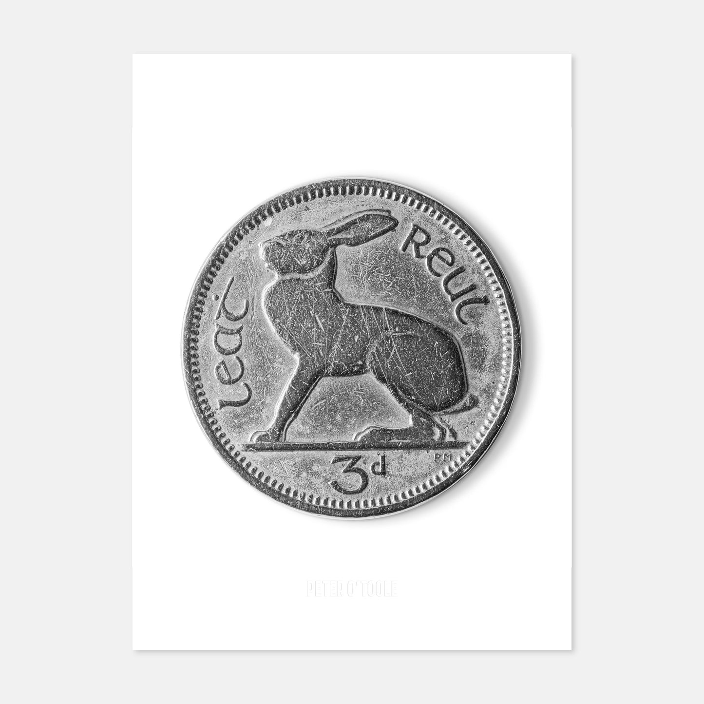 Irish Threepence (3d) Coin – Hare by Percy Metcalfe - Coin Print