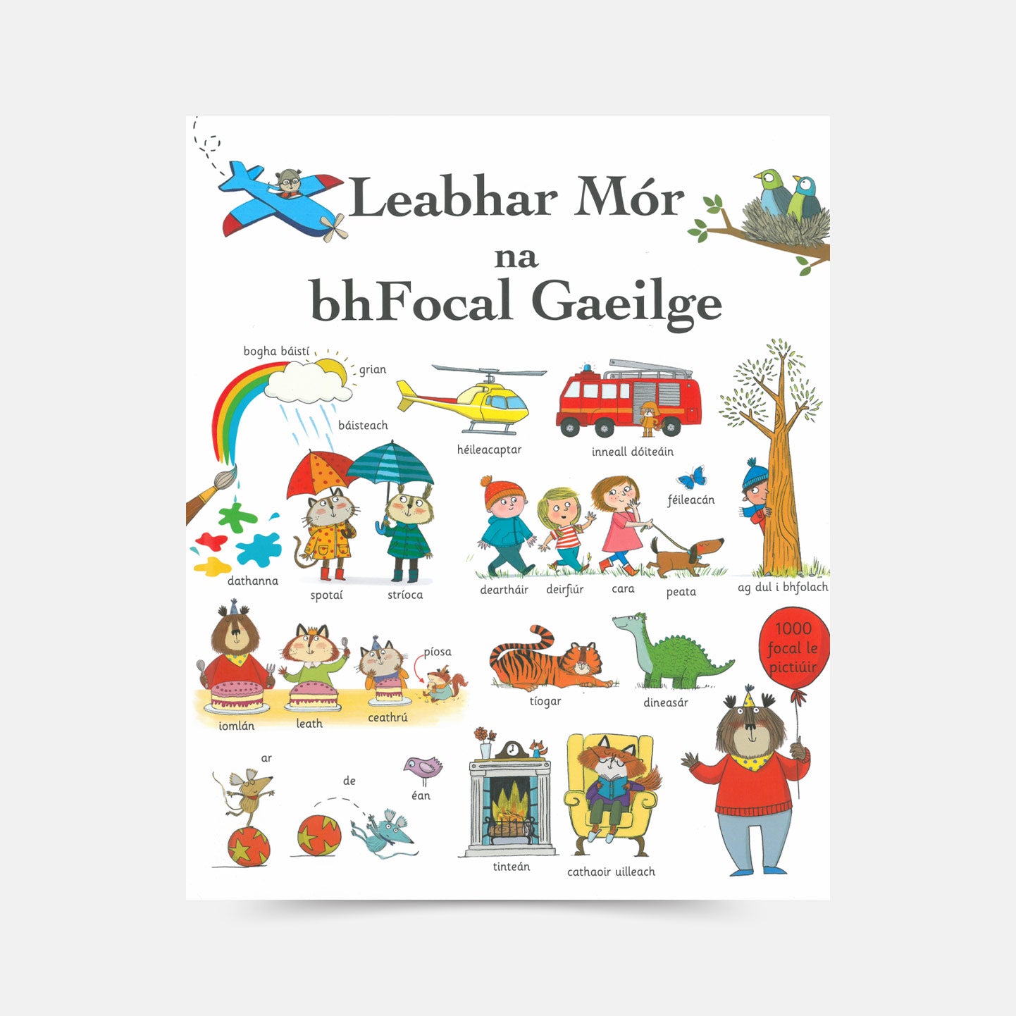 Leabhar Mór na bhFocal Gaeilge le Mairi Mackinnon - Leabhar