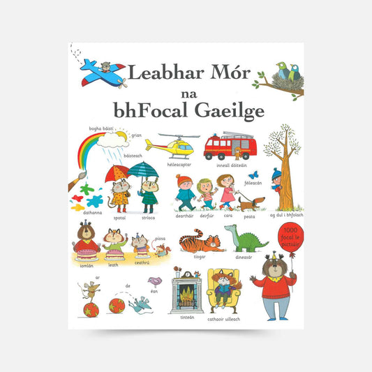 Leabhar Mór na bhFocal Gaeilge by Mairi Mackinnon - Book