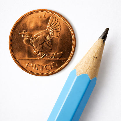 One Penny/Pingin Uncirculated Hen & Chicks Coin Print