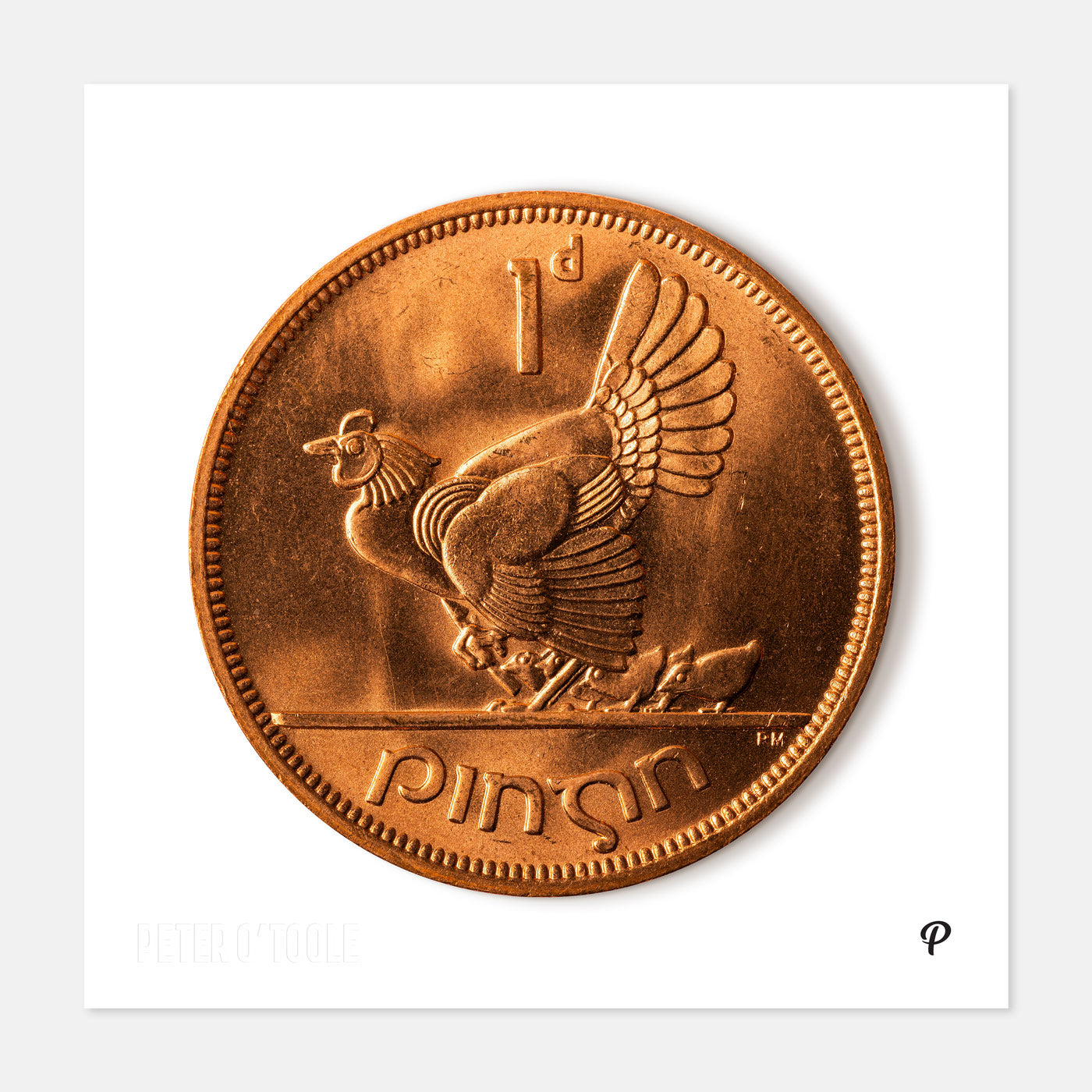 One Penny/Pingin Uncirculated Hen & Chicks Coin Print