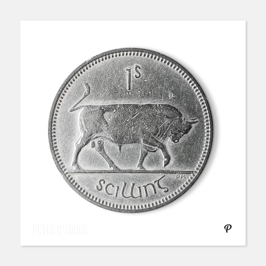 One Scilling Bull Coin Print
