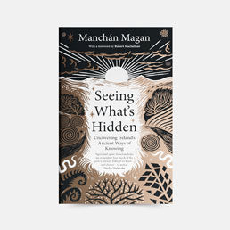 Seeing What's Hidden: Uncovering Ireland's Ancient Ways of Knowing le Manchán Mangan - Leabhar