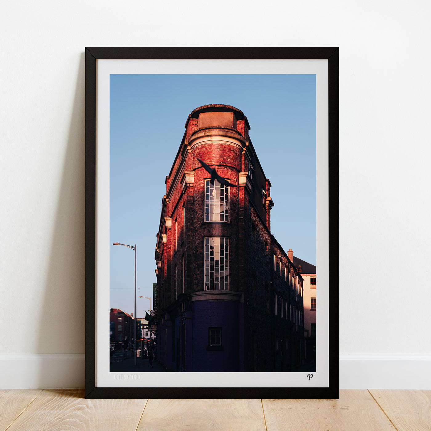 Soaring from the Shadows Print