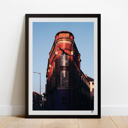 Soaring from the Shadows Print