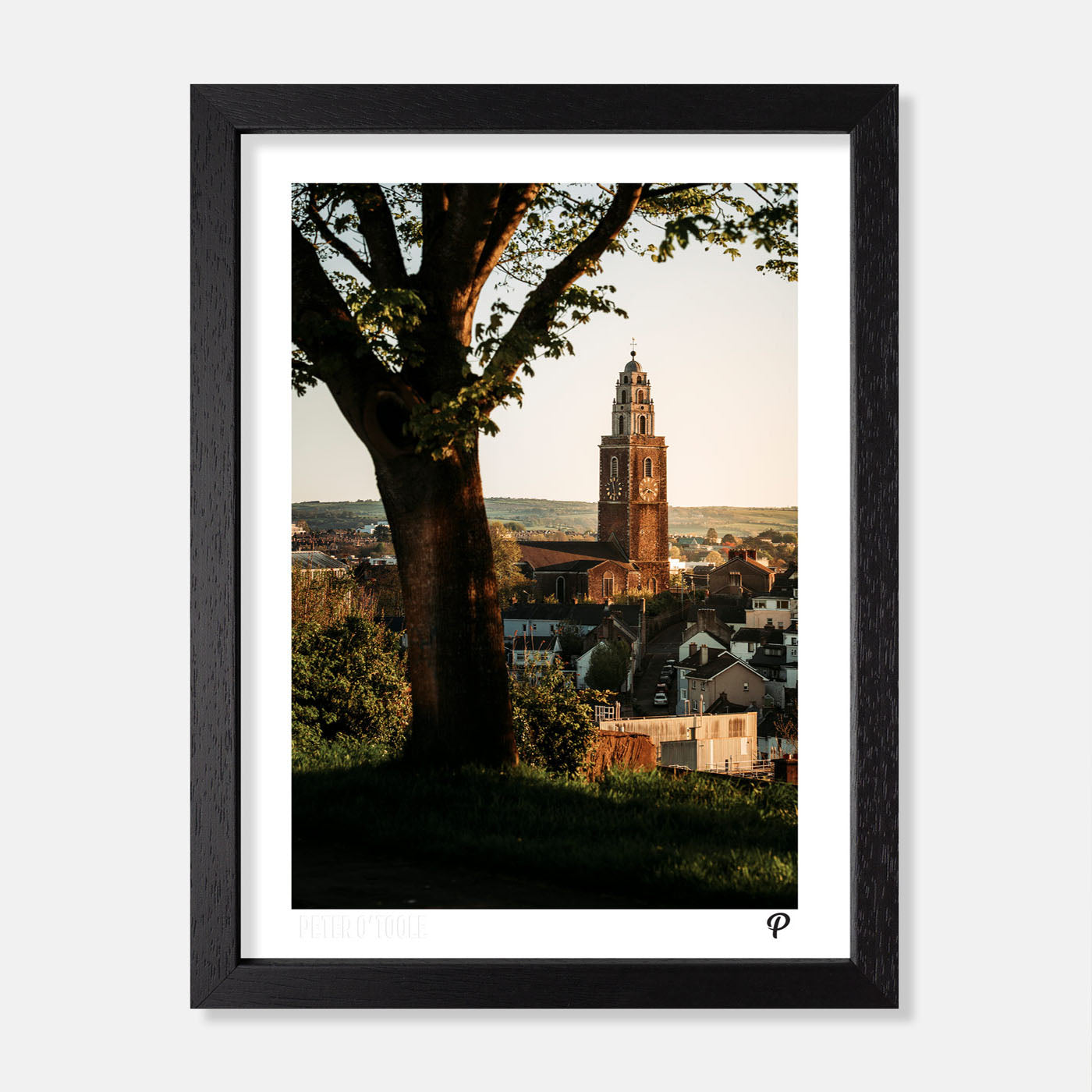 Summer in Shandon Print