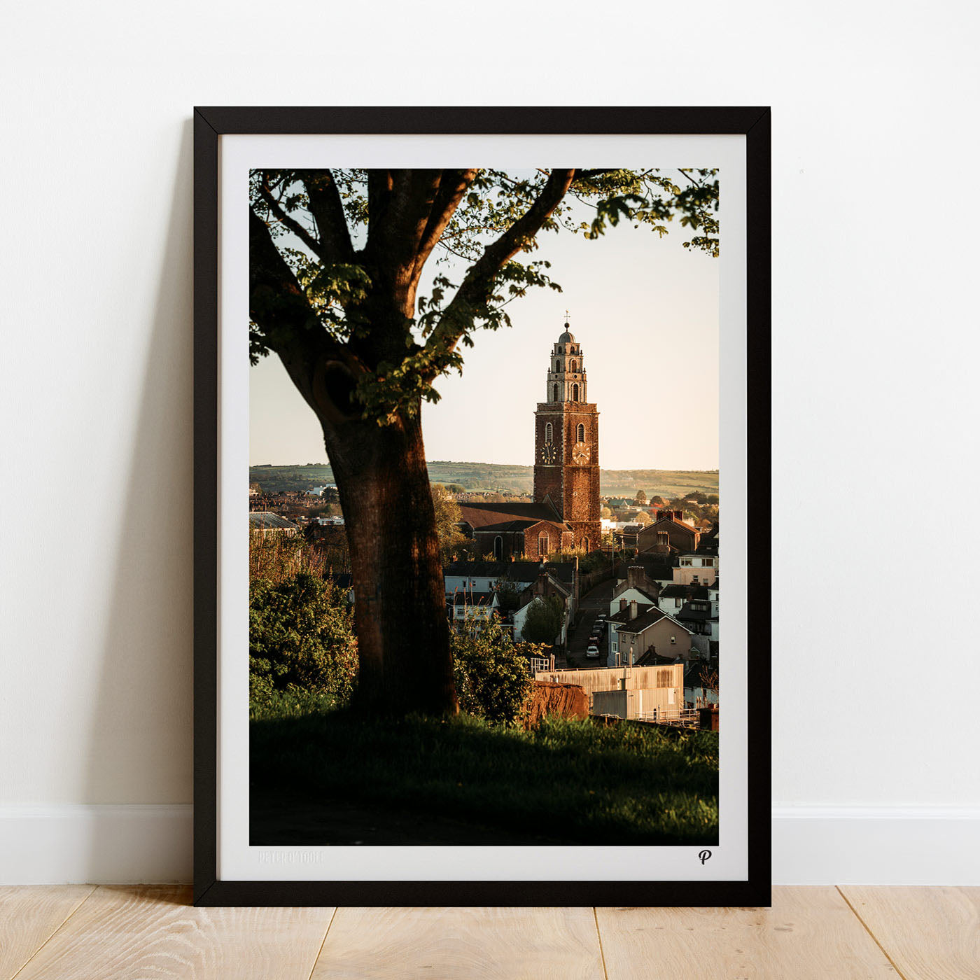 Summer in Shandon Print