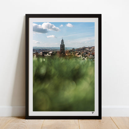 Sunny Shandon Print