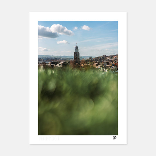 Sunny Shandon Print