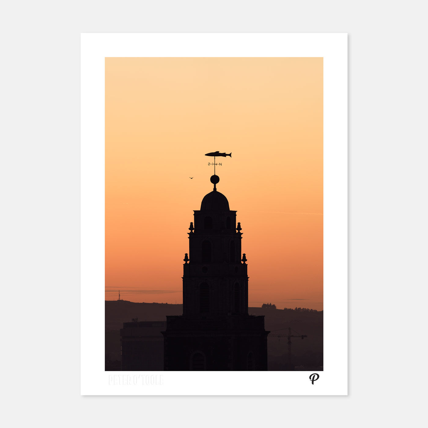 The Goldie Fish Print